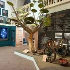 Kecskeméti Városháza Látogatóközpont Kecskemét - Egyéb