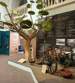 Kecskeméti Városháza Látogatóközpont