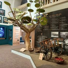 Kecskeméti Városháza Látogatóközpont Kecskemét - Egyéb