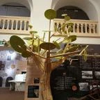 Kecskeméti Városháza Látogatóközpont Kecskemét - Egyéb