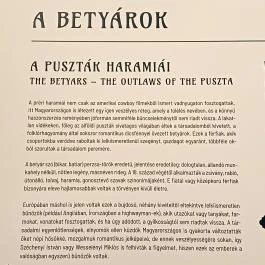 Kecskeméti Városháza Látogatóközpont Kecskemét - Egyéb