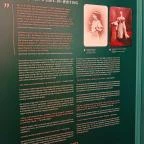 Kecskeméti Városháza Látogatóközpont Kecskemét - Egyéb