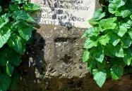 Kenderesi Református templom Kenderes