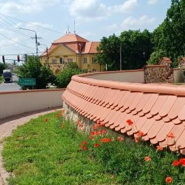 Kenderesi Református templom, Kenderes - Egyéb