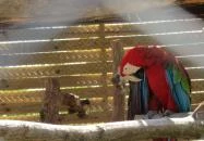 Kenguru Park Tiszaderzs