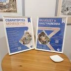 KÉPEZŐ Galéria Budapest - Egyéb