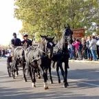 Kilenclyukú híd Hortobágy - Egyéb