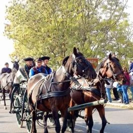 Kilenclyukú híd Hortobágy - Egyéb