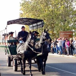 Kilenclyukú híd Hortobágy - Egyéb