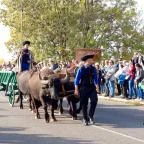 Kilenclyukú híd Hortobágy - Egyéb