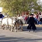 Kilenclyukú híd Hortobágy - Egyéb