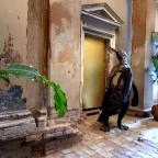 Kincsem-palota Budapest - Egyéb