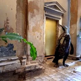 Kincsem-palota Budapest - Egyéb