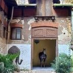 Kincsem-palota Budapest - Egyéb