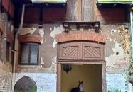 Kincsem-palota Budapest