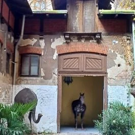 Kincsem-palota Budapest - Egyéb