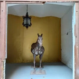 Kincsem-palota Budapest - Egyéb