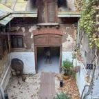 Kincsem-palota Budapest - Egyéb