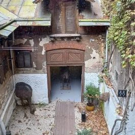 Kincsem-palota Budapest - Egyéb