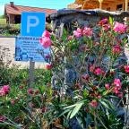 Kozárdi Kamra Kozárd - Egyéb