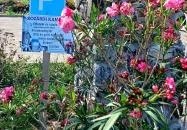 Kozárdi Kamra Kozárd