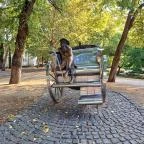 Krúdy Gyula szobra Siófok - Egyéb