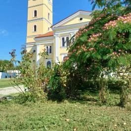 Kunmadarasi Református templom, Kunmadaras - Egyéb