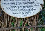 A Líciumfa Debrecen