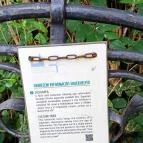 A Líciumfa Debrecen - Egyéb