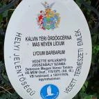 A Líciumfa Debrecen - Egyéb