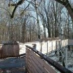 Lombkoronasétány Nagykör? - Egyéb