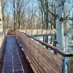 Lombkoronasétány Nagykör? - Egyéb