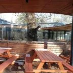 Lombkoronasétány Nagykör? - Egyéb