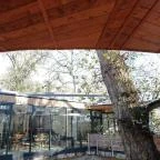 Lombkoronasétány Nagykör? - Egyéb