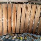 Lombkoronasétány Nagykör? - Egyéb