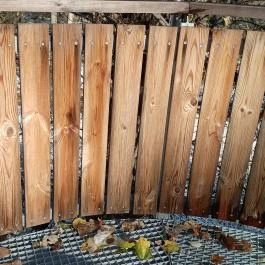 Lombkoronasétány, Nagykör? - Egyéb