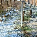 Lombkoronasétány Nagykör? - Egyéb