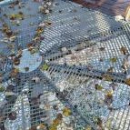 Lombkoronasétány Nagykör? - Egyéb