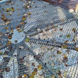 Lombkoronasétány, Nagykör? - Egyéb