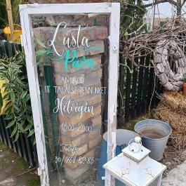 Lusta Páva Borbár és Pince Monor - Egyéb