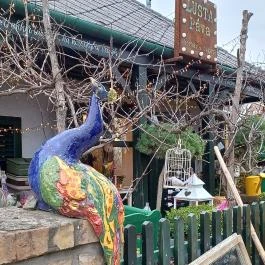 Lusta Páva Borbár és Pince Monor - Egyéb