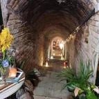 Lusta Páva Borbár és Pince Monor - Egyéb