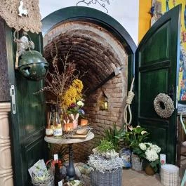 Lusta Páva Borbár és Pince Monor - Egyéb