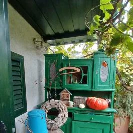 Lusta Páva Borbár és Pince Monor - Egyéb