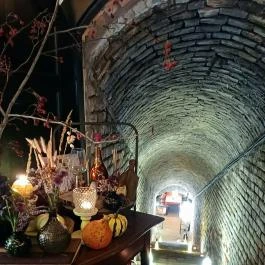 Lusta Páva Borbár és Pince Monor - Egyéb