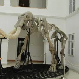 Magyar Természettudományi Múzeum Mátra Múzeuma, Gyöngyös - Egyéb