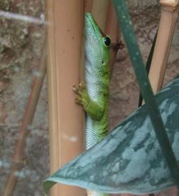 Magyar Természettudományi Múzeum Mátra Múzeuma