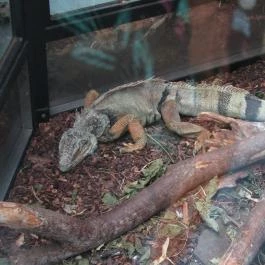 Magyar Természettudományi Múzeum Mátra Múzeuma, Gyöngyös - Egyéb