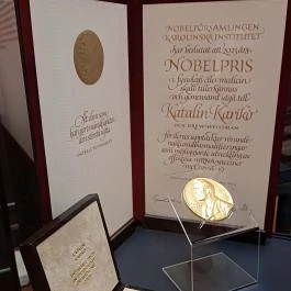 Magyar Tudományos Akadémia Székháza, Budapest - Egyéb