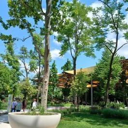 Magyar Zene Háza, Budapest - Egyéb